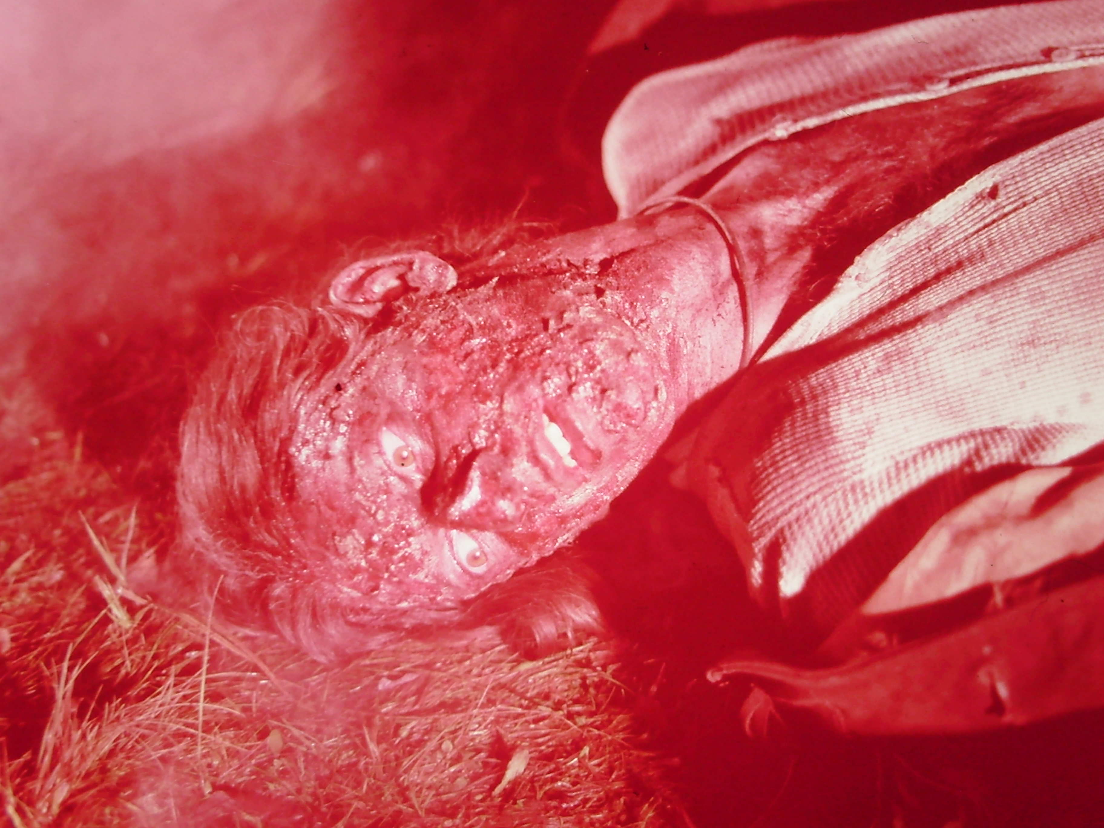 actor Don Granbery large photo