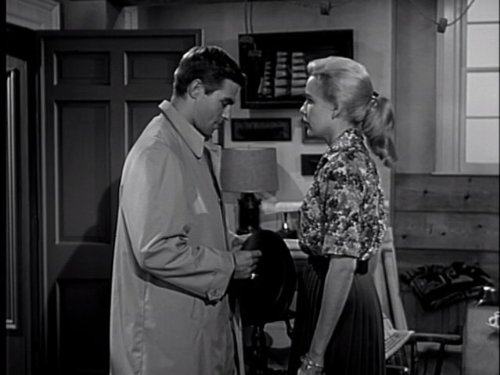 actor Diana Van der Vlis large photo