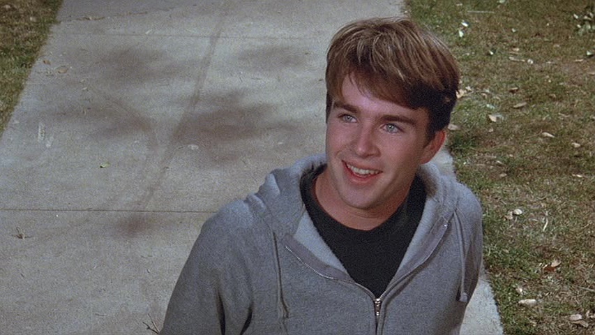 actor Michael Sharrett large photo