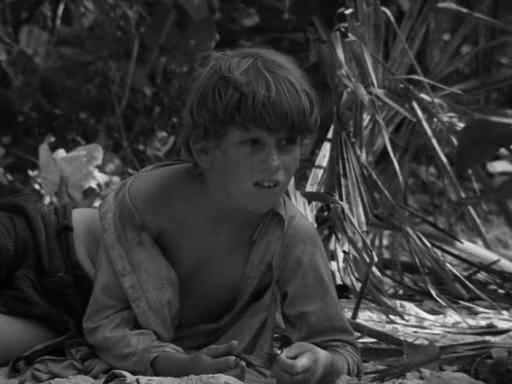 actor Peter Davy large photo