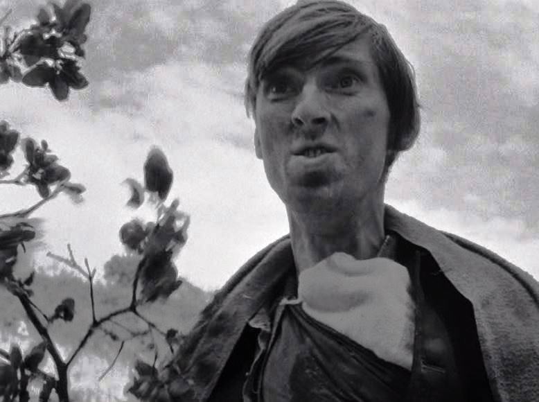 actor Robert Cherry large photo