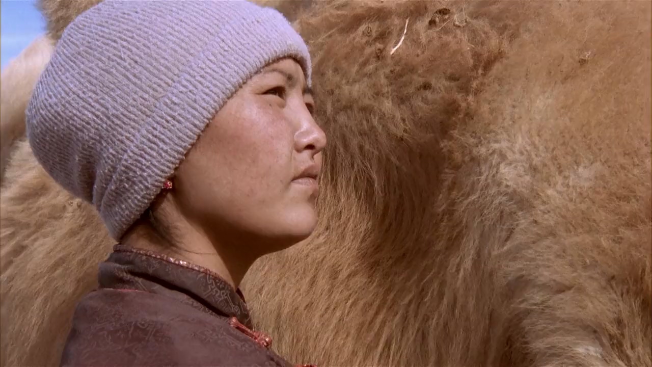 actor Odgerel Ayusch large photo