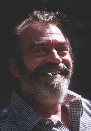 actor Jack Elam large photo