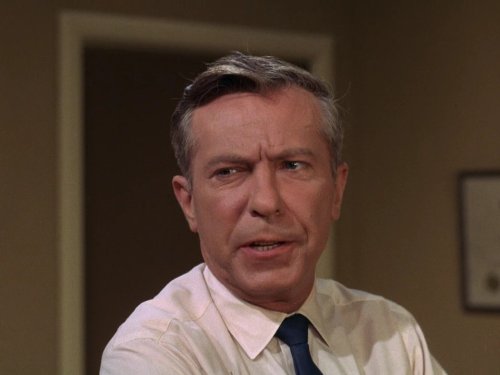 actor Peter Hobbs large photo