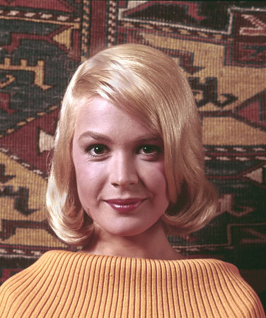 actor Sandra Dee large photo
