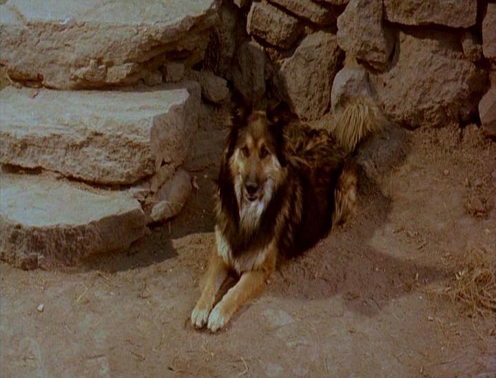 actor Jackboy large photo