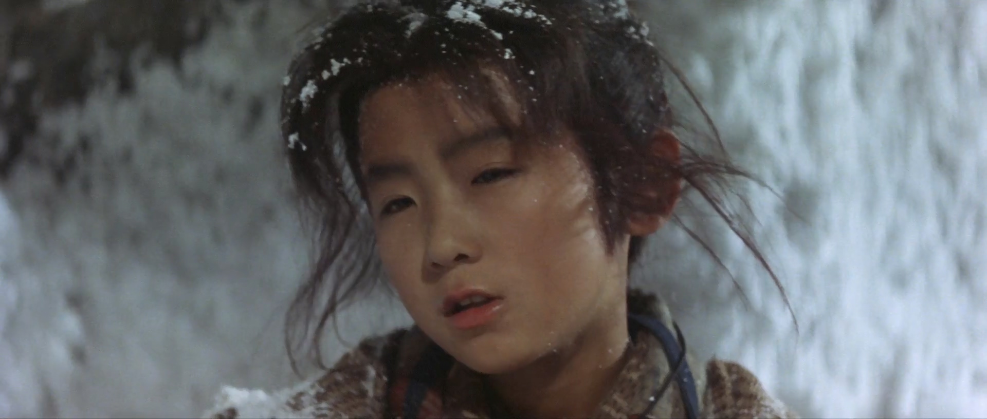 actor Hideki Ninomiya large photo