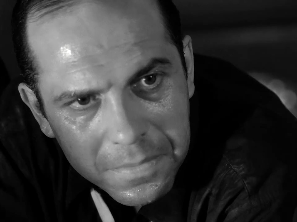 actor Robert Manuel large photo