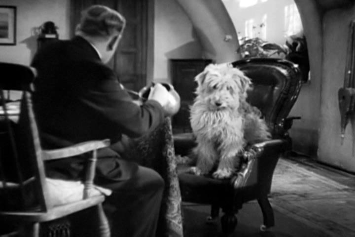 actor Scruffy large photo