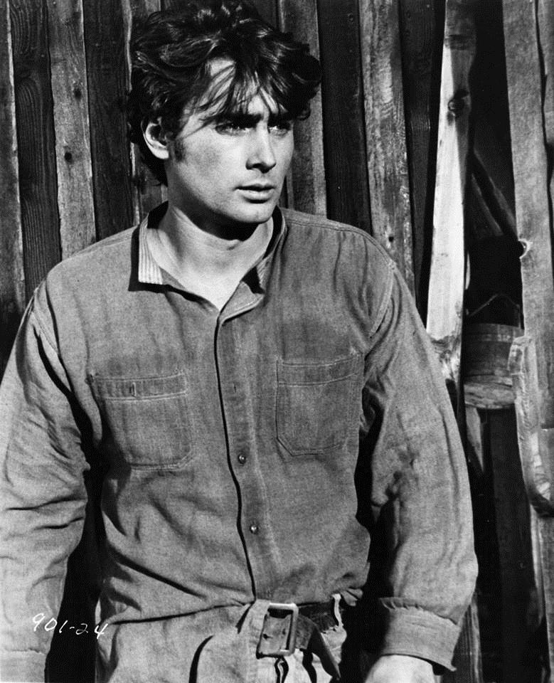 actor Robert Porter large photo