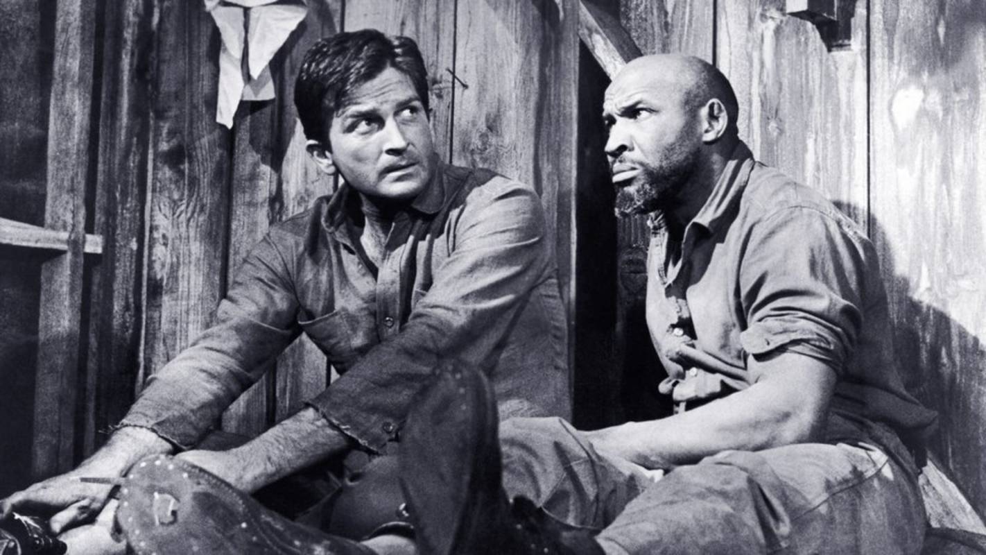 actor Robert Knapp large photo