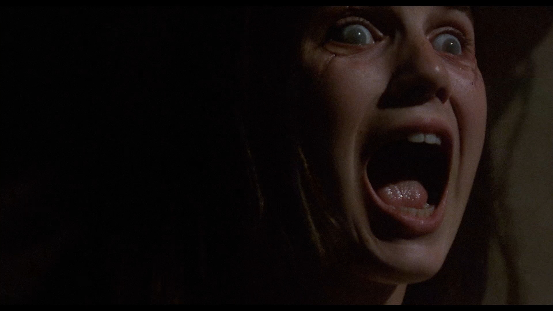 actor Jessica Dollarhide large photo