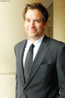 actor Michael Weatherly large photo