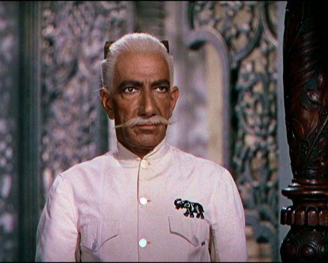 actor Abraham Sofaer large photo