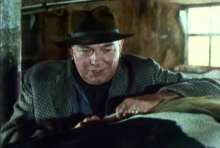 actor Harry Beety large photo