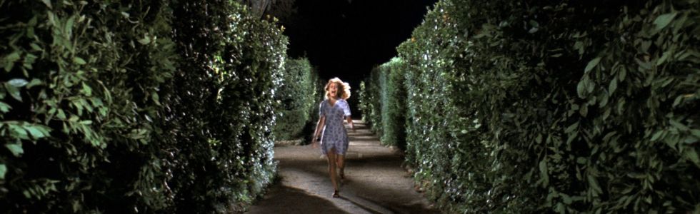 actor Marisa Fabbri large photo