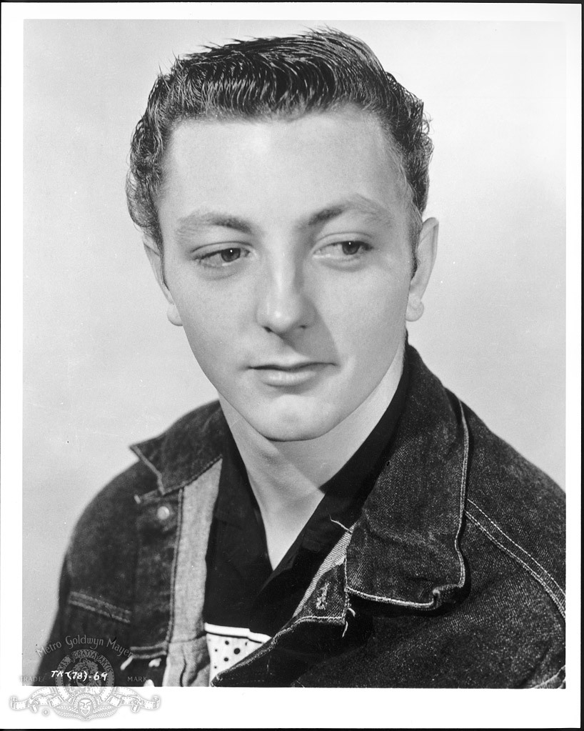 actor James Mitchum large photo