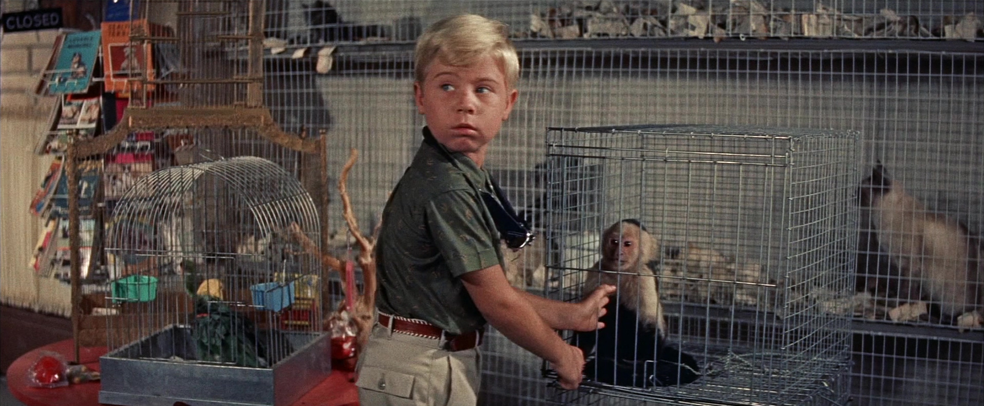 actor Stanley Livingston large photo