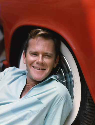 actor Dick Sargent large photo