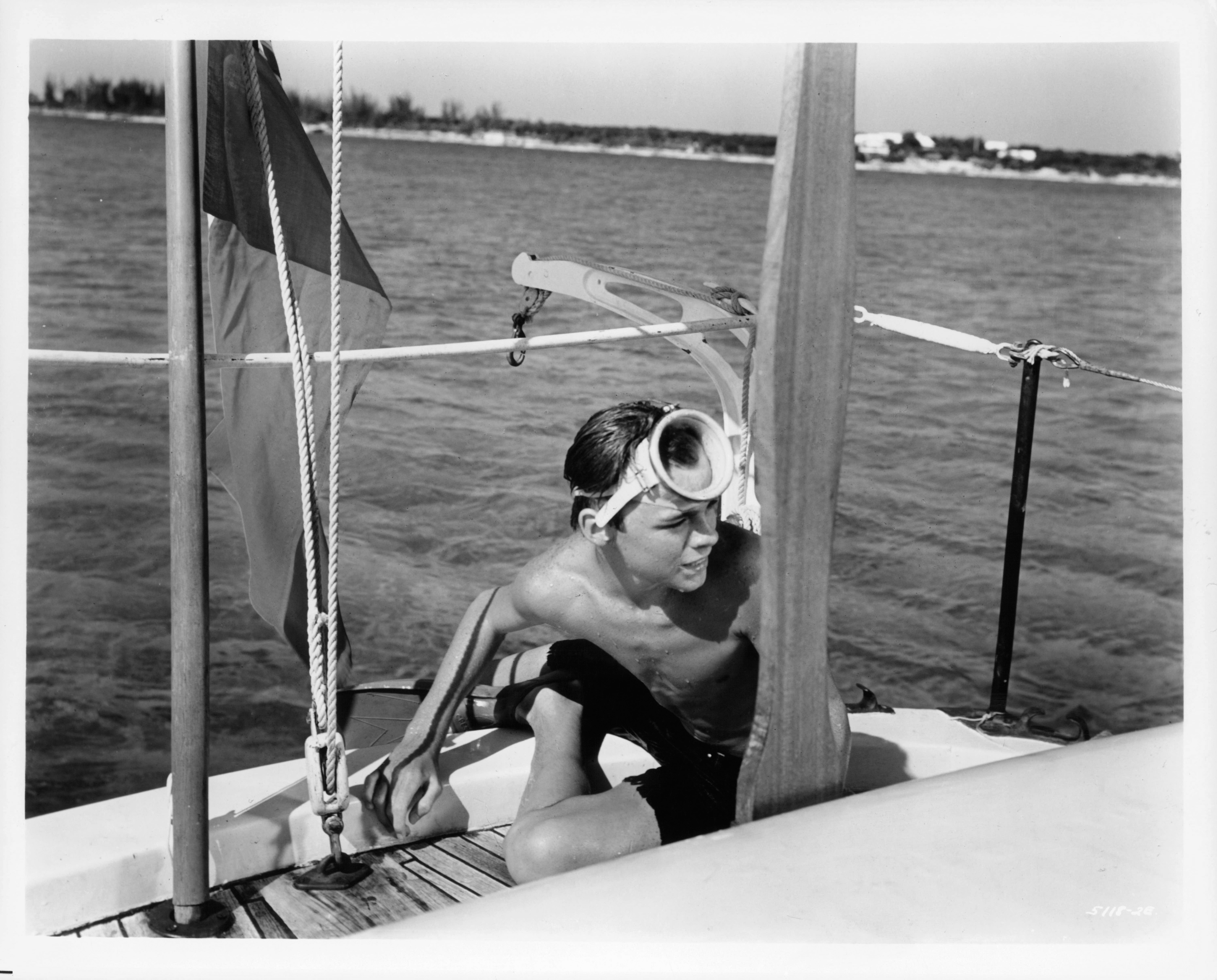 actor Luke Halpin large photo