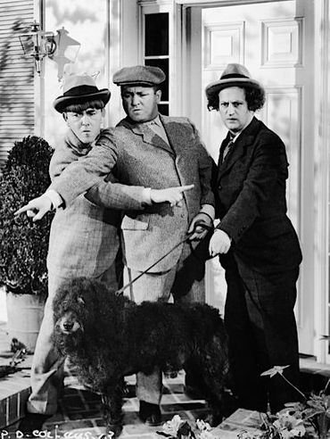 actor The Three Stooges large photo