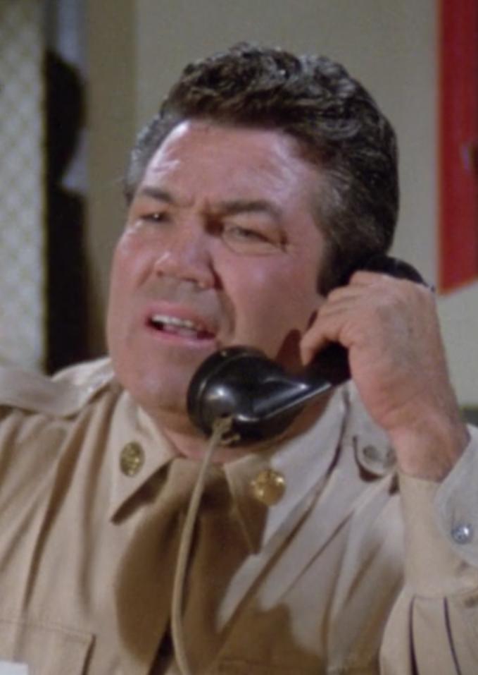 actor William Flatley large photo