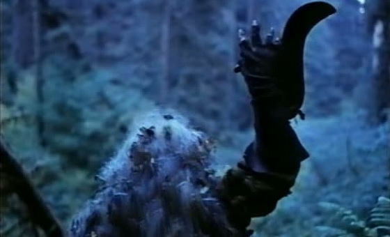 actor Anthony Maccario large photo