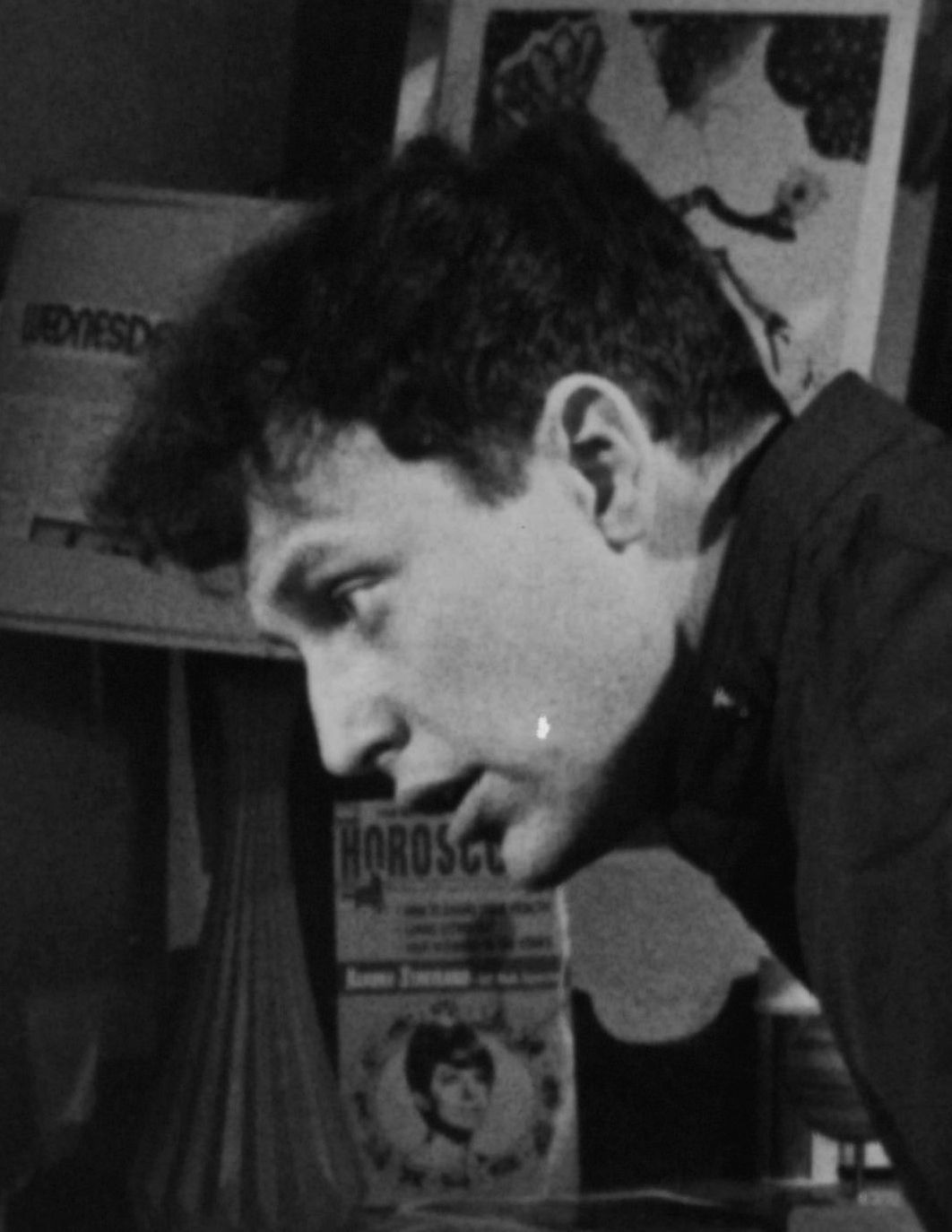 actor David Arkin large photo