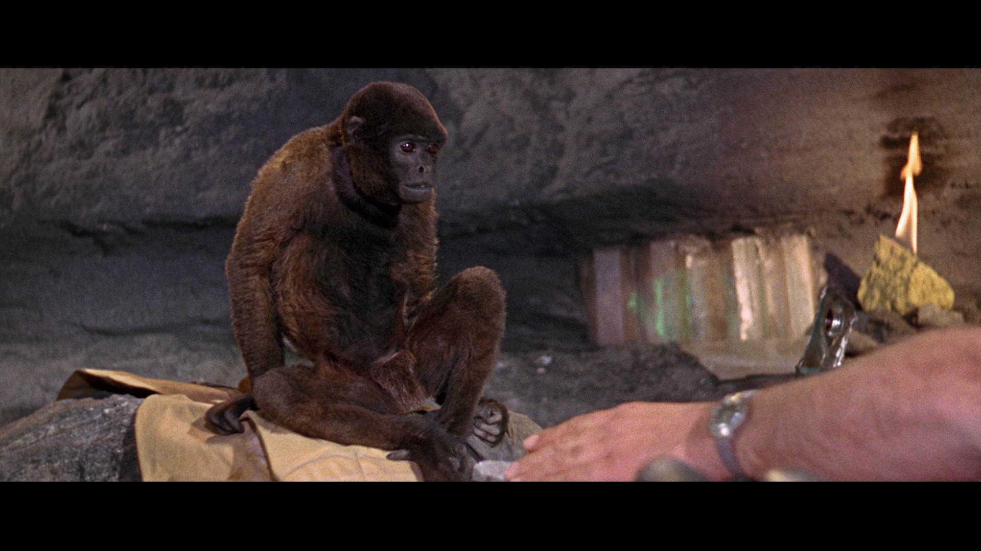 actor The Woolly Monkey large photo