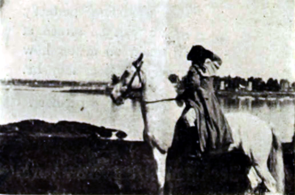 actor Frank Hall Crane large photo