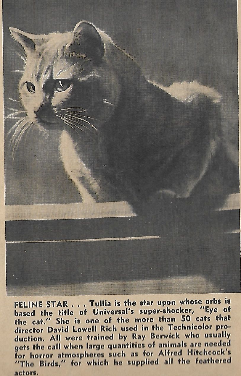 actor Tullia large photo