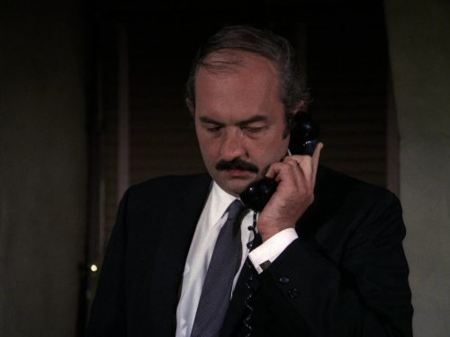 actor Ron Feinberg large photo