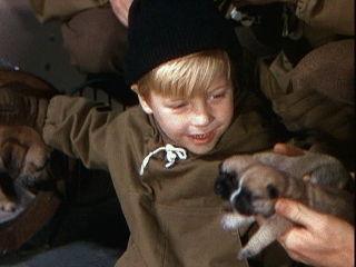 actor Rudy Lee large photo