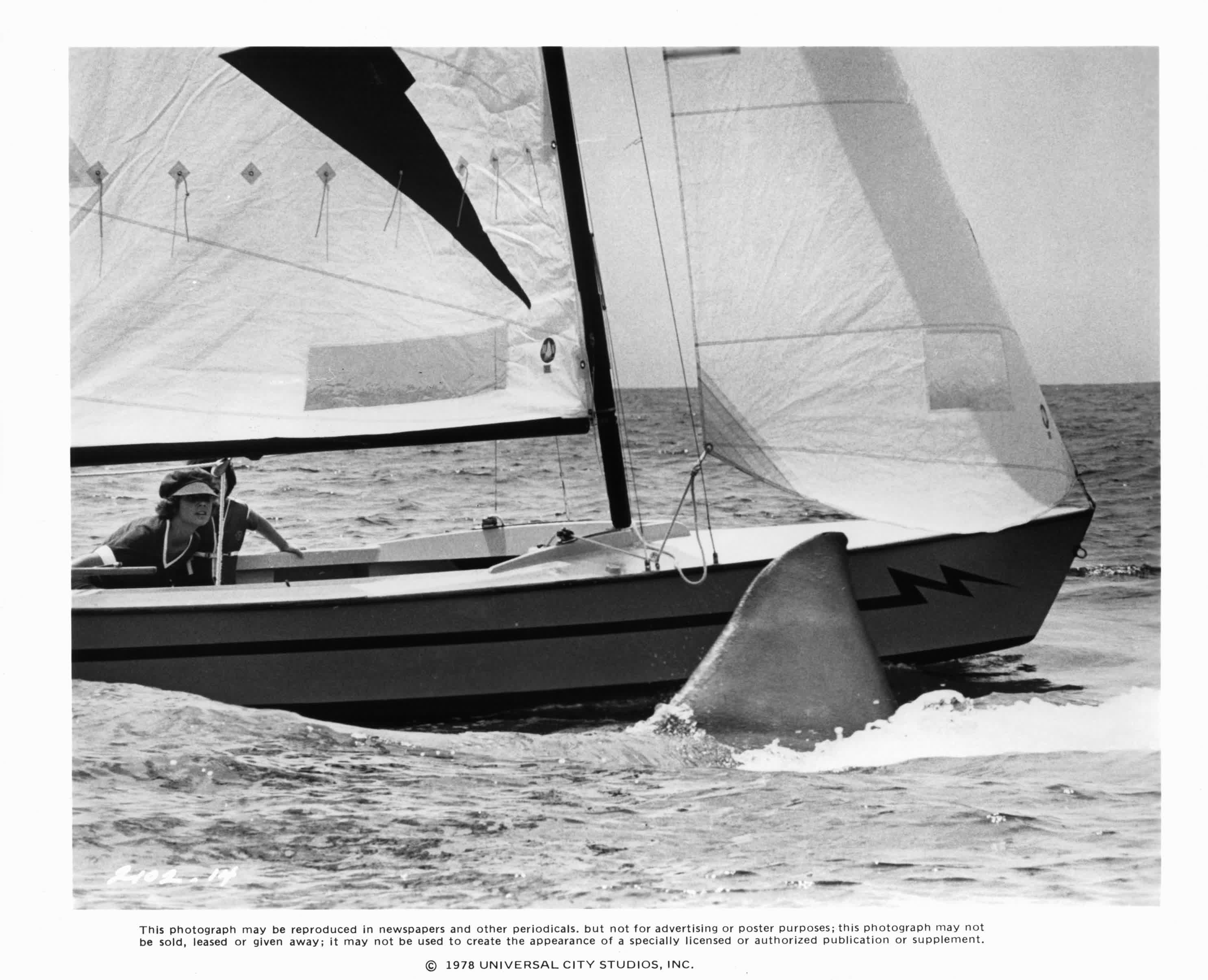 actor Marc Gilpin large photo