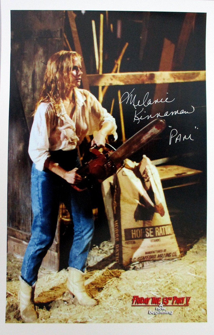 actor Melanie Kinnaman large photo