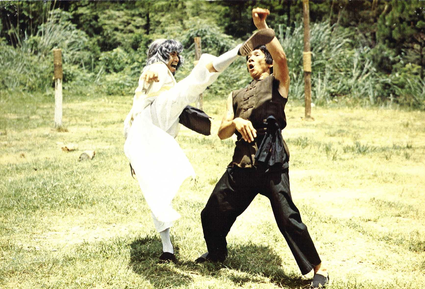 actor Ming Chin large photo