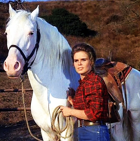 actor Sara Lane large photo