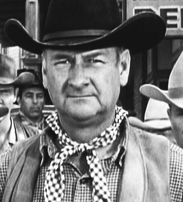 actor Joe Phillips large photo