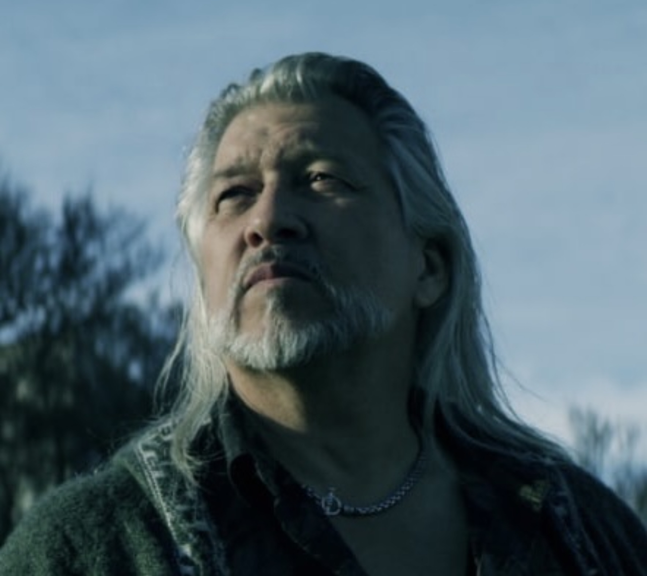 actor Steve Lucescu large photo