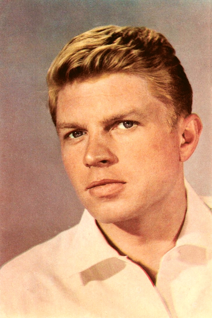 actor Hardy Krüger large photo