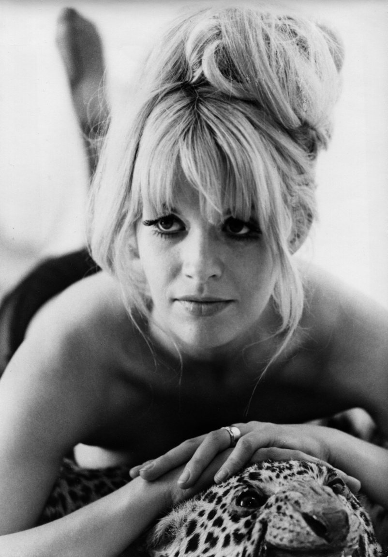 actor Carol White large photo