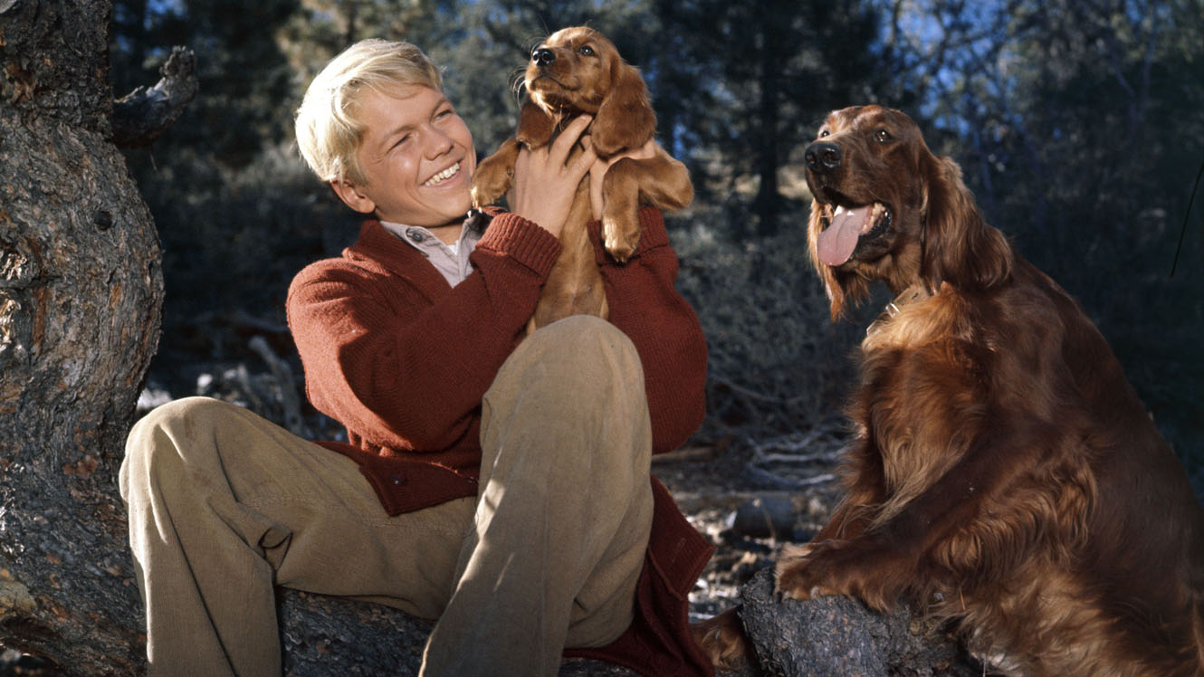 actor Gilles Payant large photo