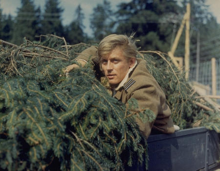 actor John Leyton large photo