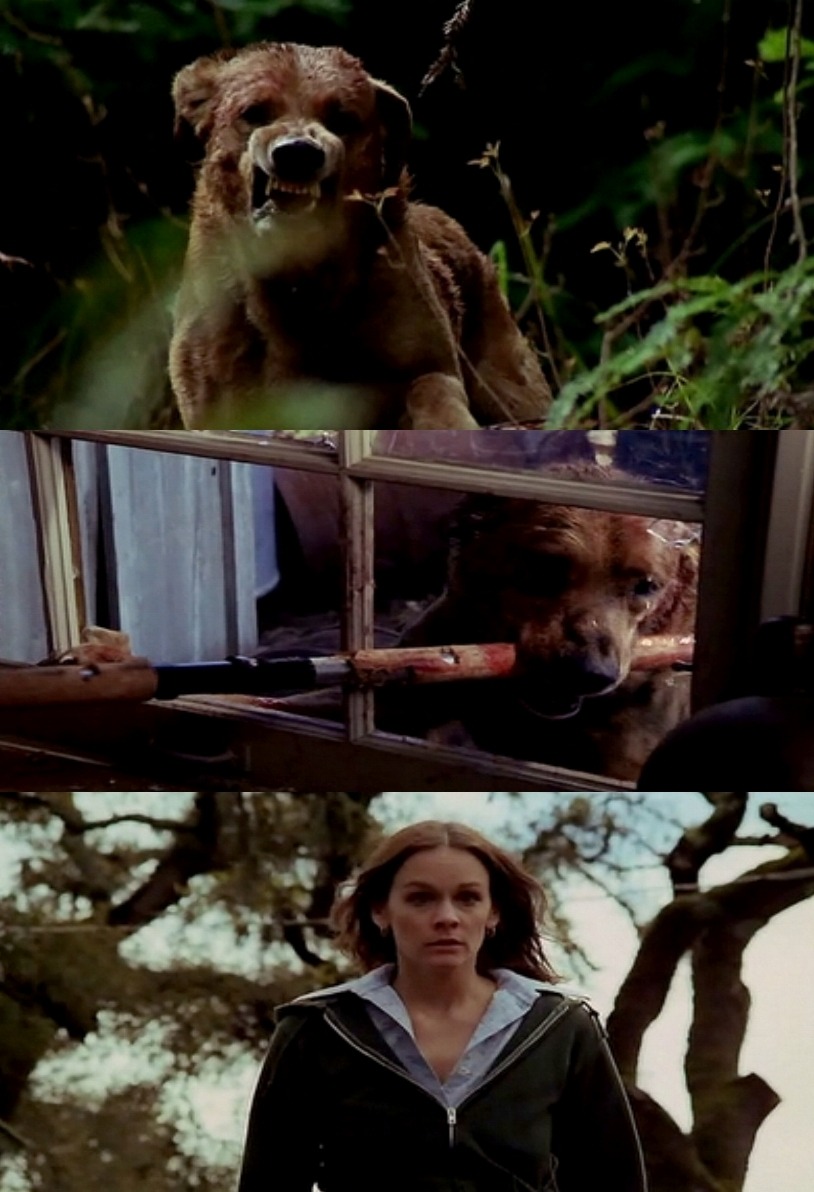 actor Hope Alexander-Willis large photo