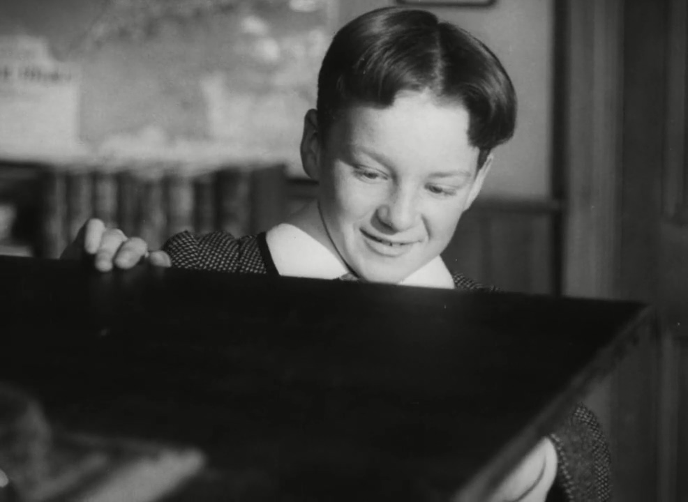 actor Matthew Guinness large photo