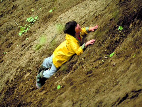 actor Sunny Besen Thrasher large photo