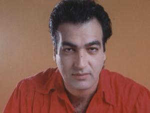 actor Sharon Raginiano large photo