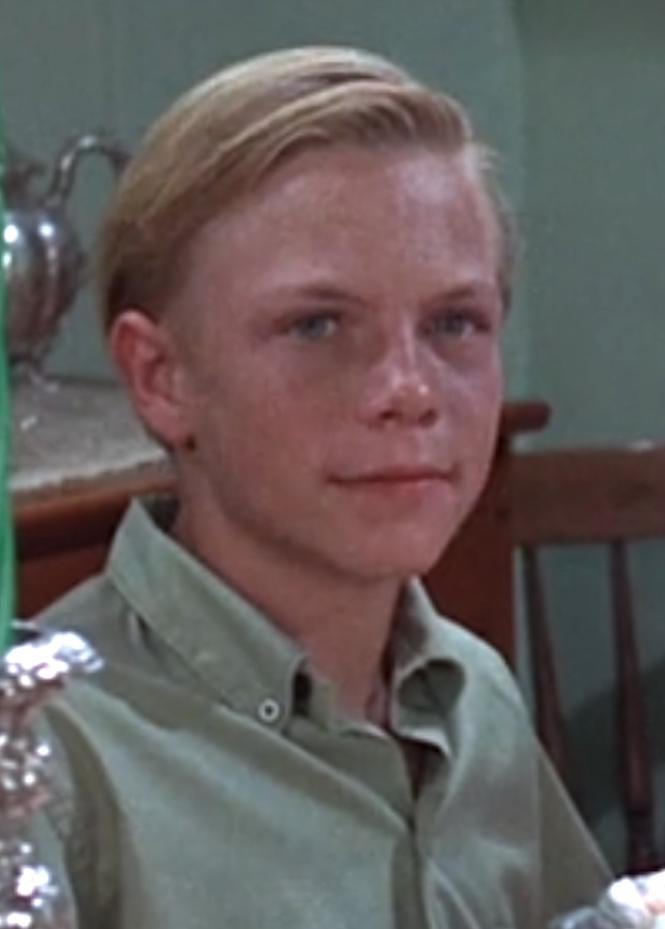 actor Don Wyndham large photo