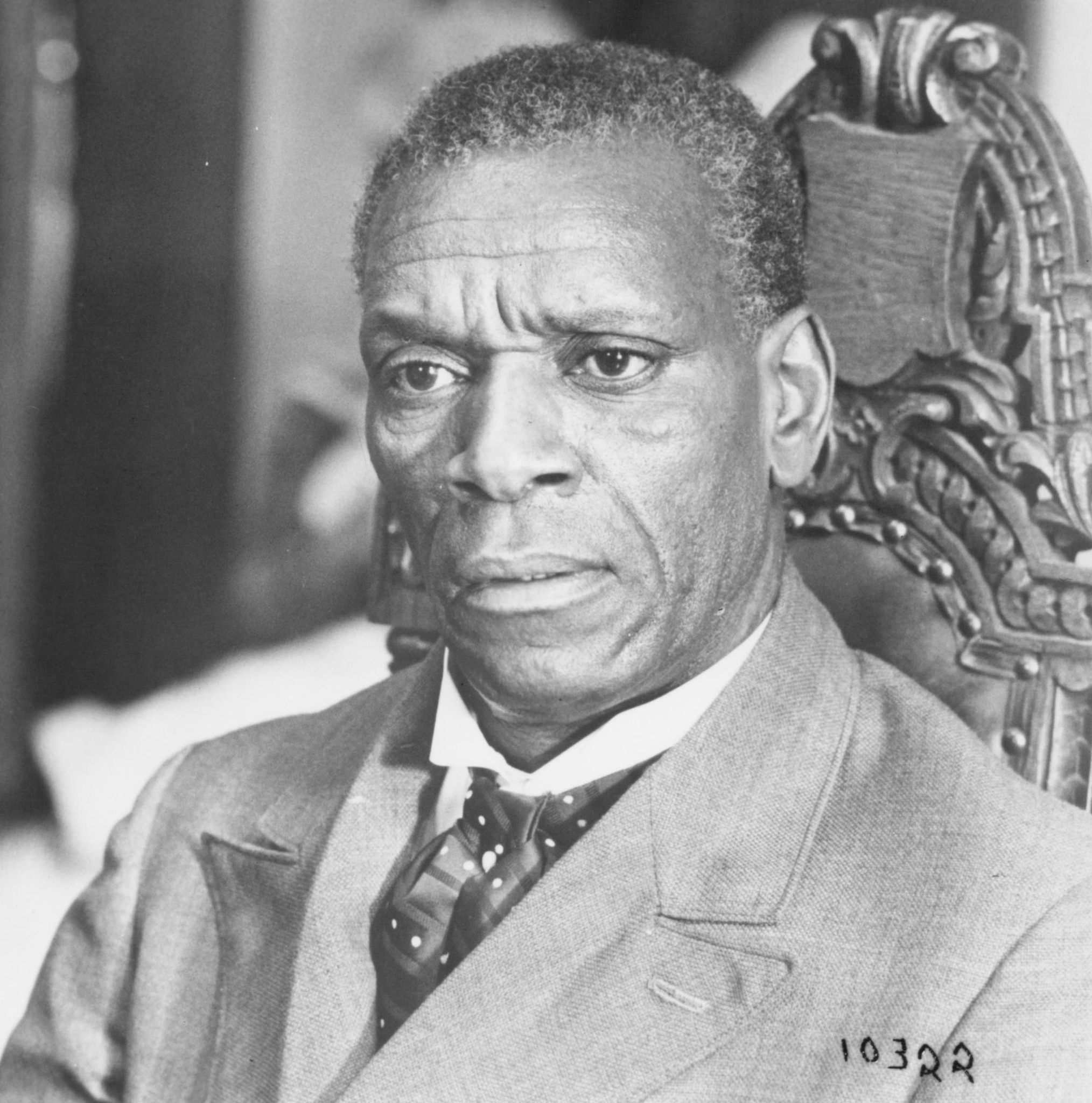 actor Moses Gunn large photo