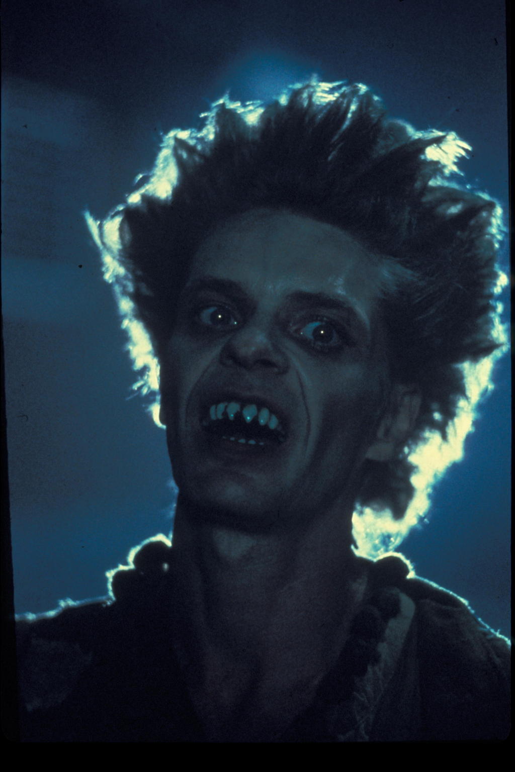 actor Frank Doubleday large photo